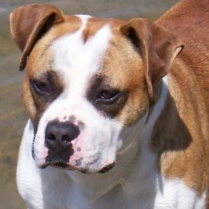 Meet your Posher, Cutter